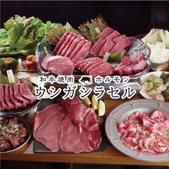 ウシガシラセル 入谷駅 焼肉