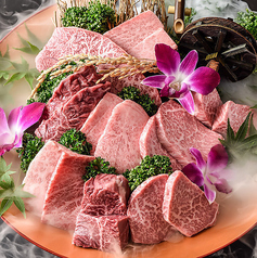 肉匠 コギヤ 宴庭 五反田店 大崎広小路駅 焼肉