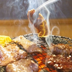 炭火焼肉 食道園 大岡山店 緑が丘駅 焼肉